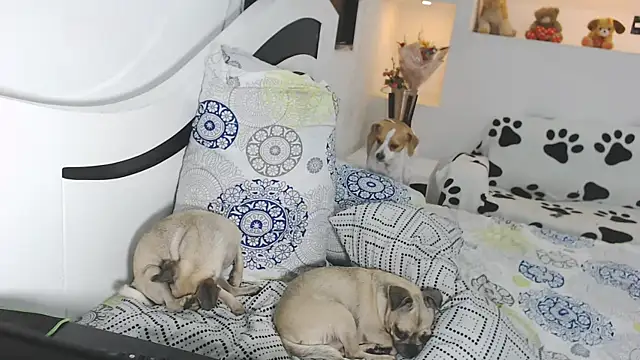 yina-rosse online show from February 17, 10:31 pm