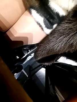 Dirtyfeelin online show from November 18, 2:40 pm