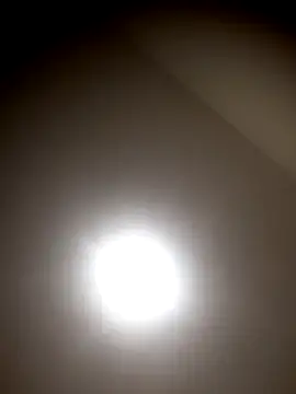 sua sub  online show from October 13, 2:53 pm