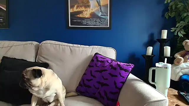 short sweetpea online show from October 16, 8:39 am