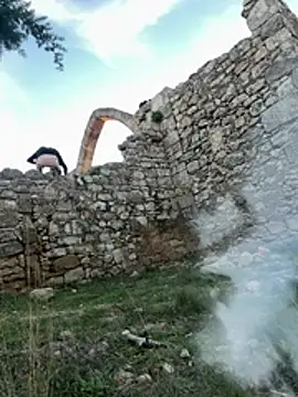 Amani thewolf online show from February 24, 5:00 pm