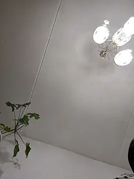 Fire Night online show from December 3, 12:40 pm