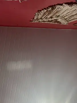 pimenta gaby online show from October 28, 11:16 am