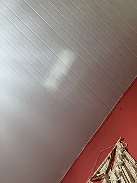 pimenta gaby online show from November 2, 5:05 pm