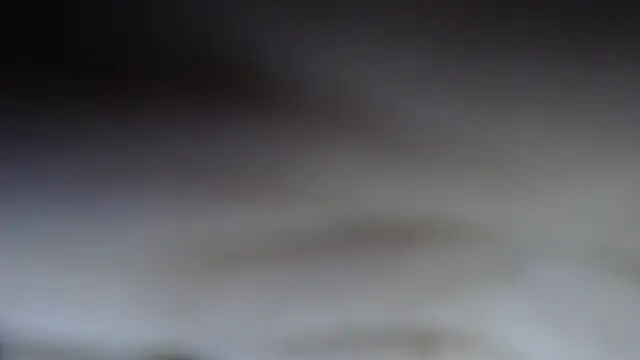 swt shadow online show from February 20, 7:26 pm