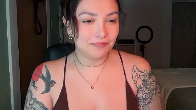 Pumpkin bunny online show from October 14, 1:41 am