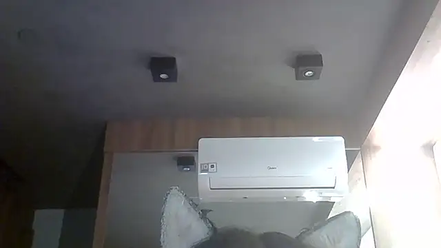 Skinny-Kitten online show from January 5, 10:13 pm