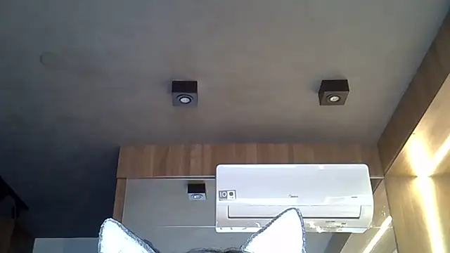 Snapshot of Skinny-Kitten chatting on October 2, 12:21 pm Skinny-Kitten online show from October 2, 12:21 pm