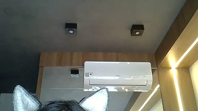 Snapshot of Skinny-Kitten chatting on October 4, 12:44 pm Skinny-Kitten online show from October 4, 12:44 pm