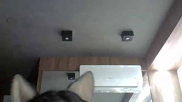 Snapshot of Skinny-Kitten chatting on October 18, 10:55 pm Skinny-Kitten online show from October 18, 10:55 pm