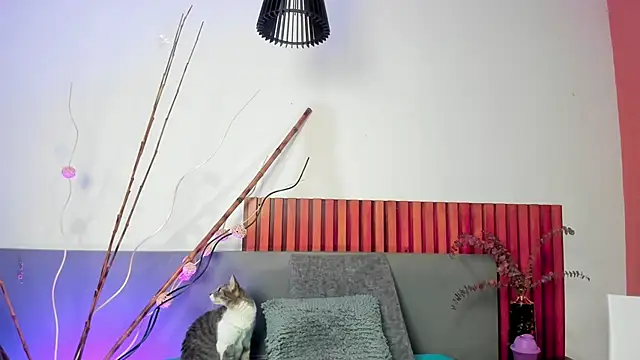 NoraDasilva online show from January 15, 11:55 pm